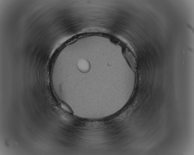 X0000091910973200710031016