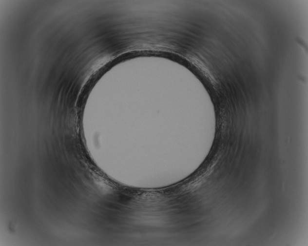 X0000091910974200710031016