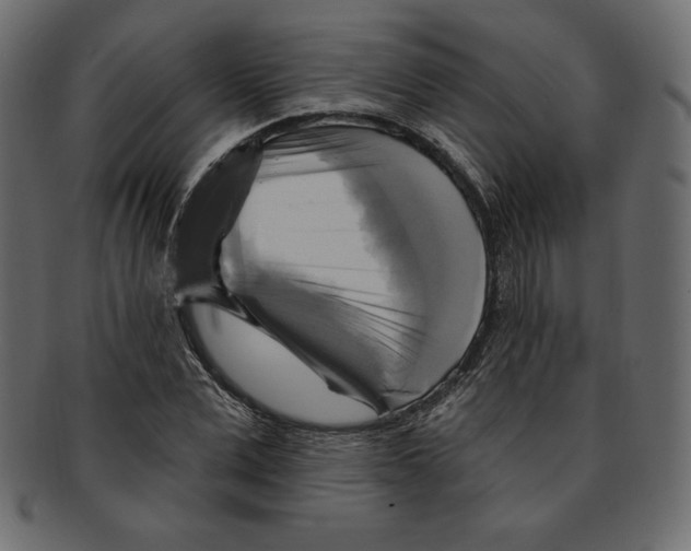 X0000091910975200710031016