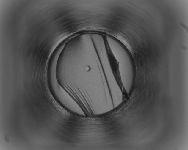 X0000091910976200710031016