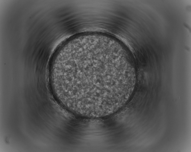 X0000091910979200710031016