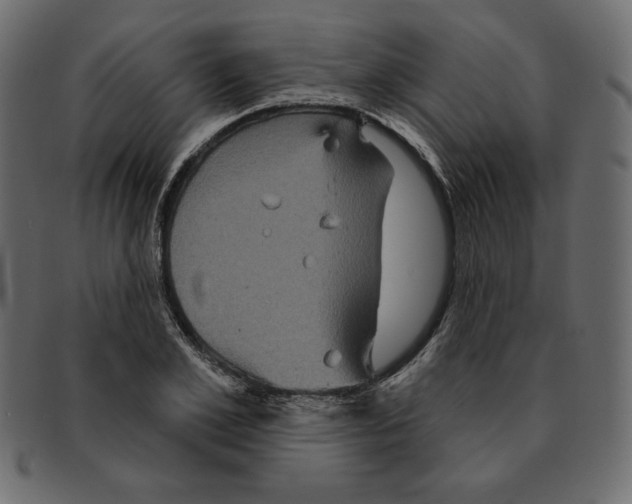 X0000091910981200710031016