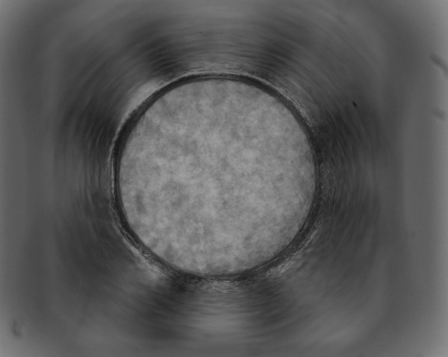 X0000091910982200710031016