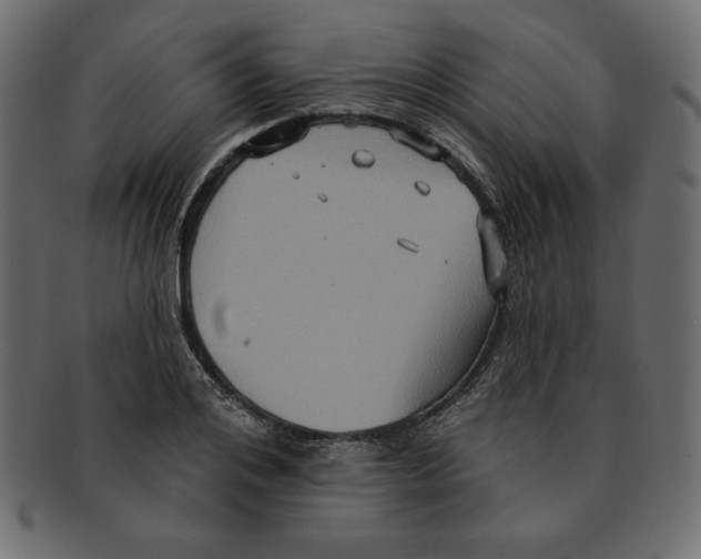 X0000091910984200710031016