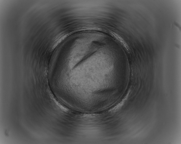 X0000091910985200710031016