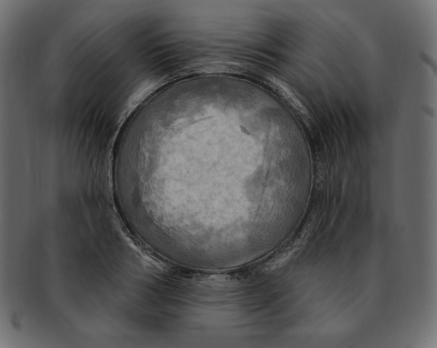 X0000091910986200710031016