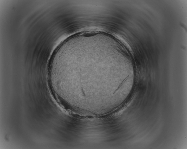 X0000091910989200710031016