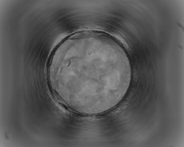 X0000091910990200710031016