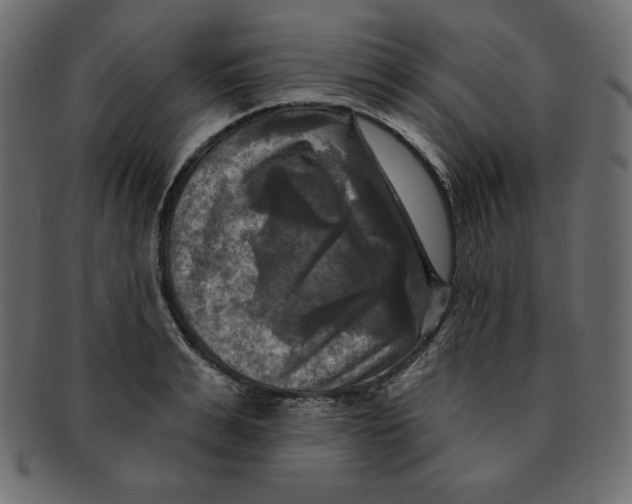 X0000091910991200710031016