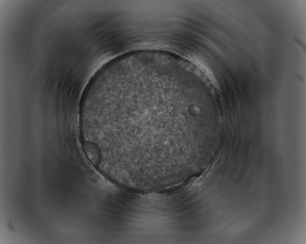 X0000091910992200710031016