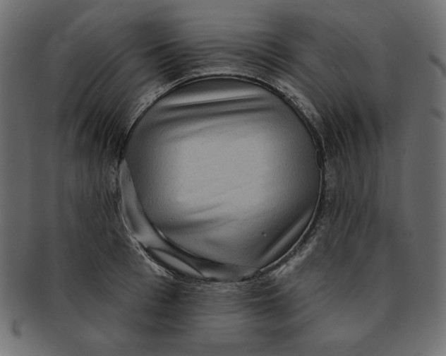 X0000091910993200710031016