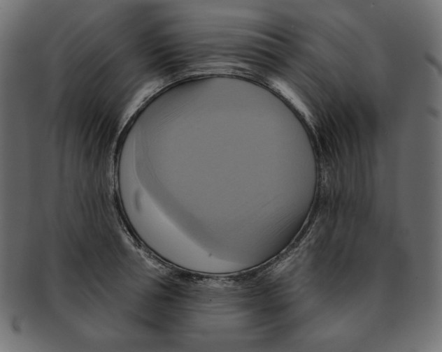 X0000091910994200710031016