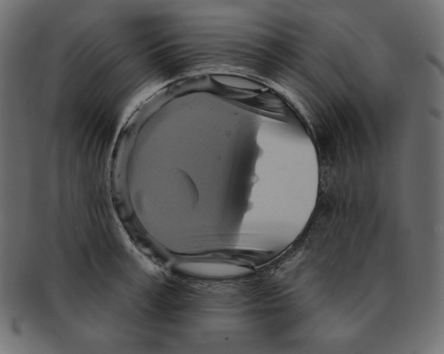 X0000091910995200710031016