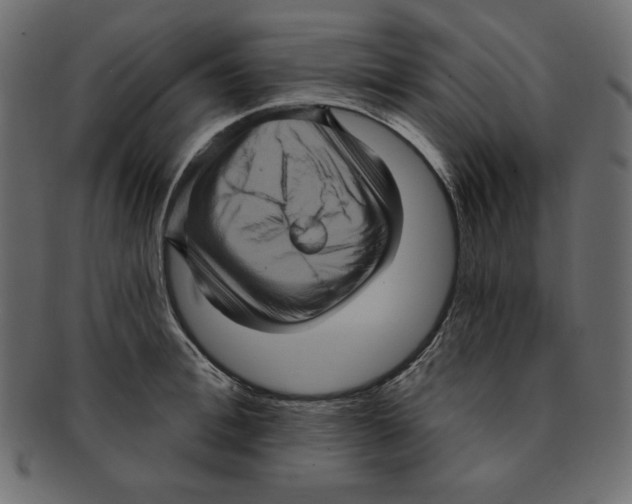 X0000091910996200710031016