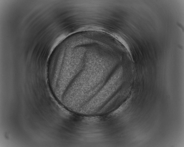 X0000091910997200710031016