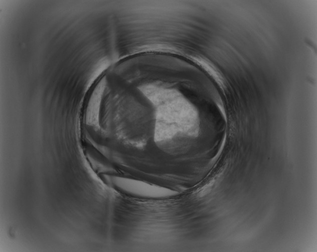 X0000091910999200710031016