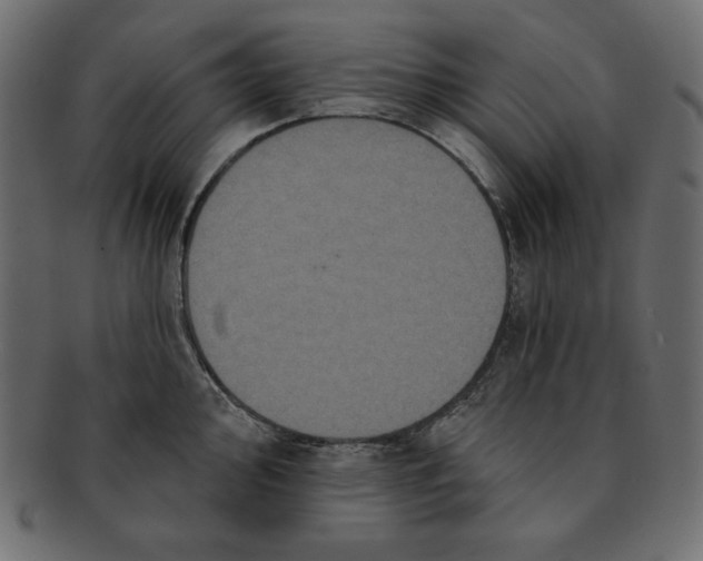 X0000091911000200710031015