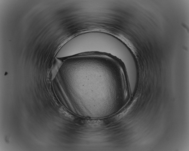 X0000091911001200710031015