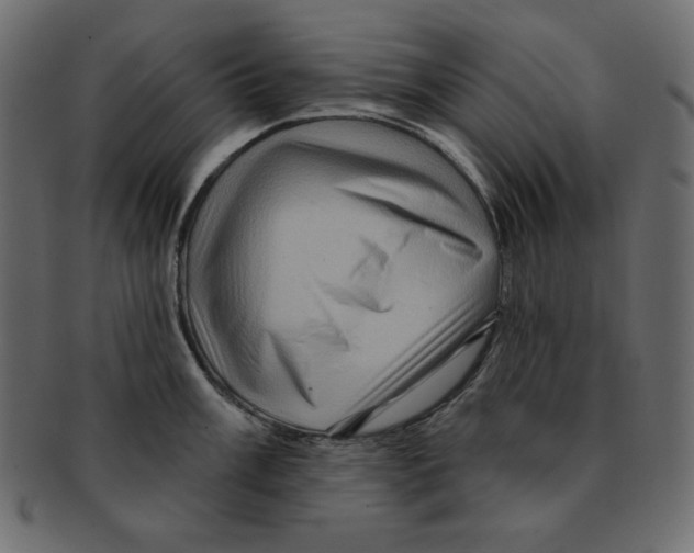 X0000091911003200710031015