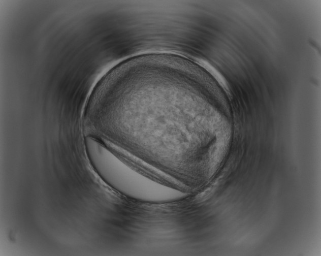 X0000091911004200710031015