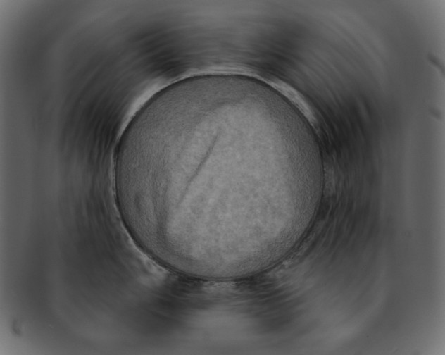 X0000091911006200710031015