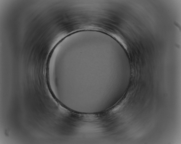 X0000091911007200710031015