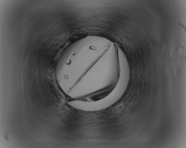 X0000091911010200710031015