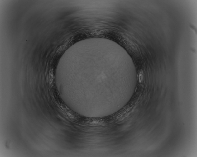 X0000091911011200710031015