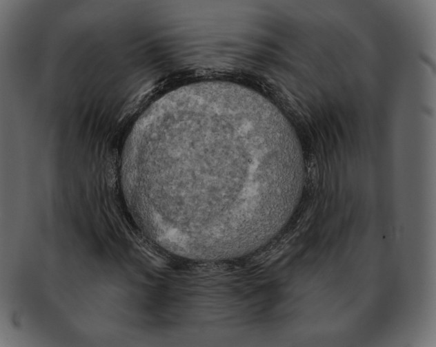 X0000091911012200710031015