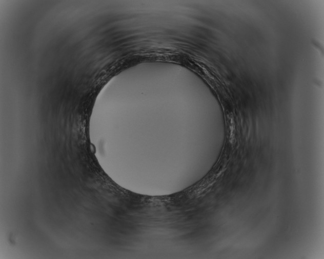 X0000091911013200710031015