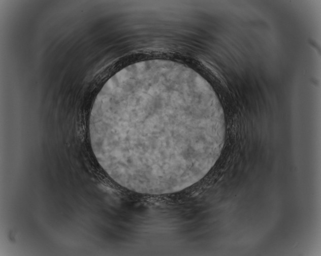 X0000091911015200710031015