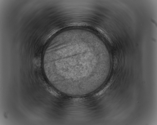 X0000091911017200710031015