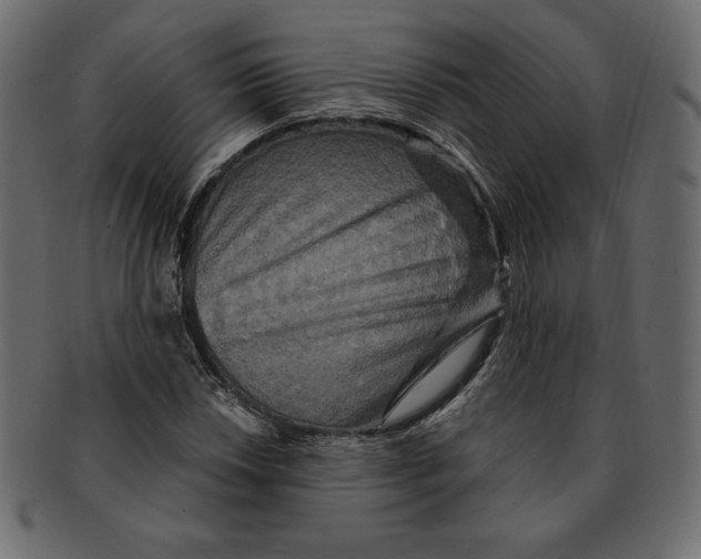 X0000091911018200710031015