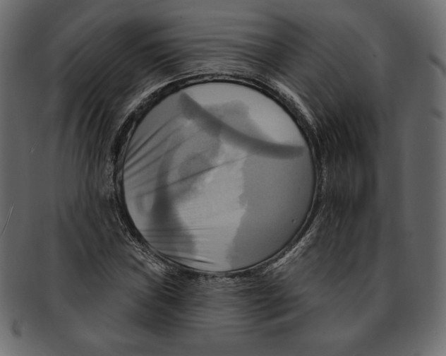 X0000091911019200710031015