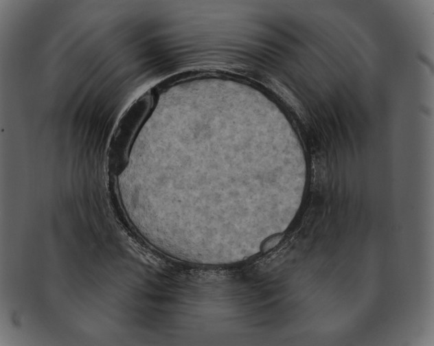 X0000091911020200710031015