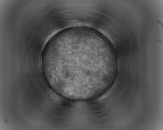 X0000091911021200710031015