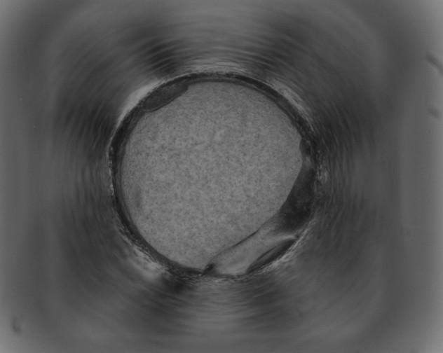 X0000091911022200710031015