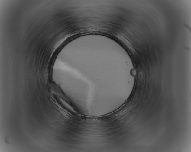 X0000091911023200710031015