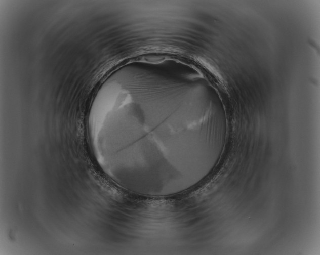 X0000091911025200710031015