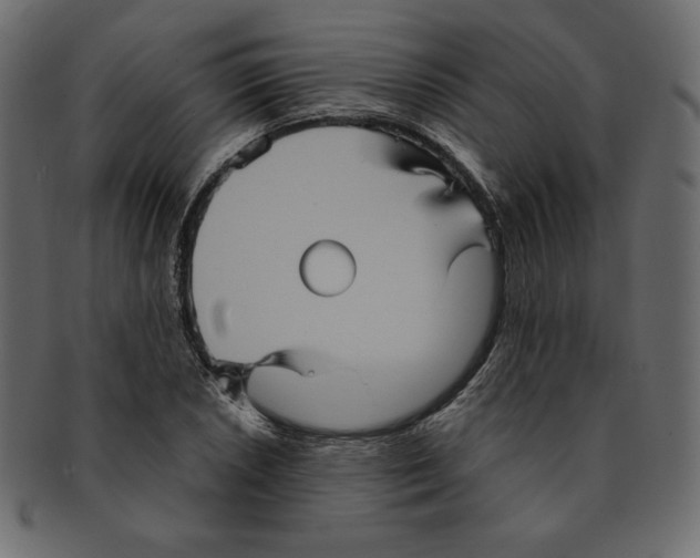 X0000091911026200710031015