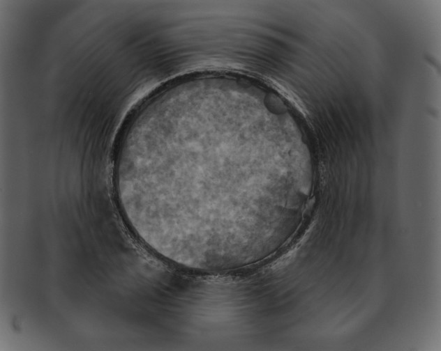 X0000091911029200710031015