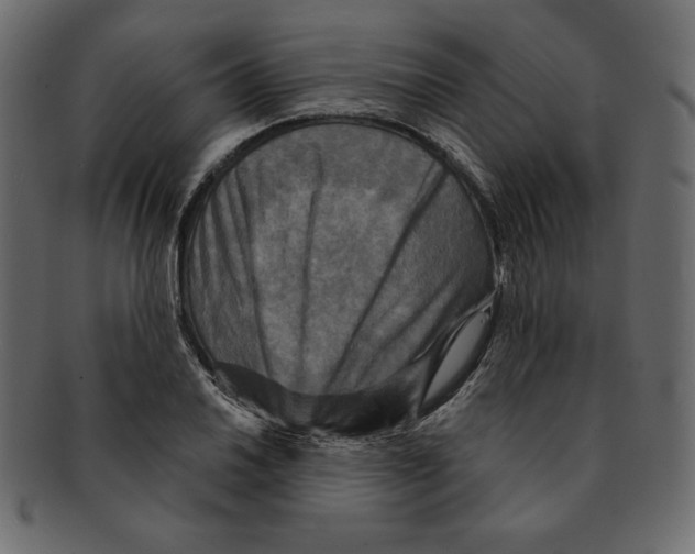 X0000091911030200710031015