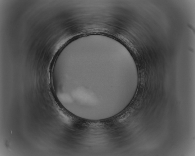 X0000091911031200710031015