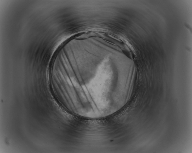 X0000091911032200710031015