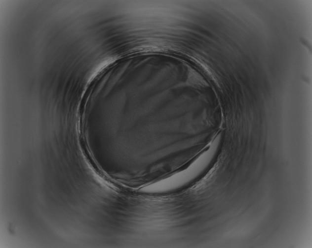 X0000091911034200710031015