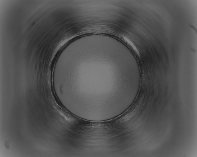 X0000091911035200710031015