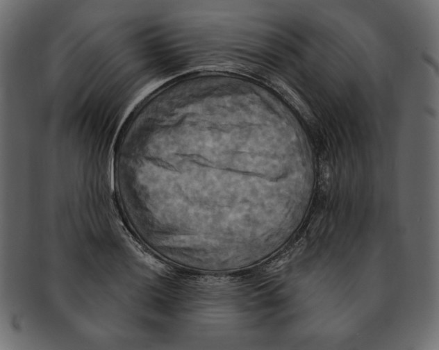 X0000091911036200710031015