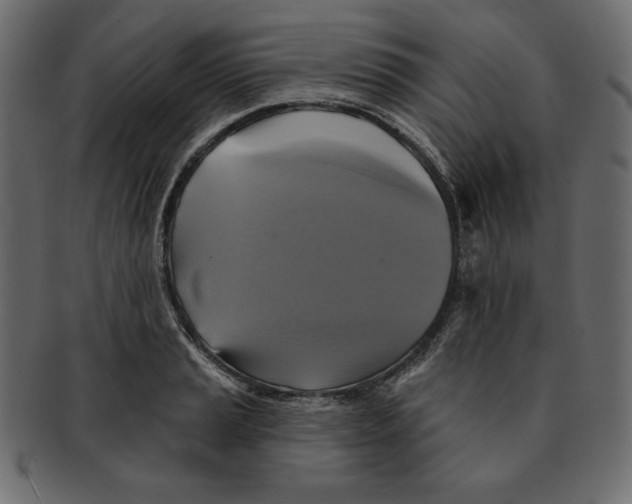 X0000091911037200710031015