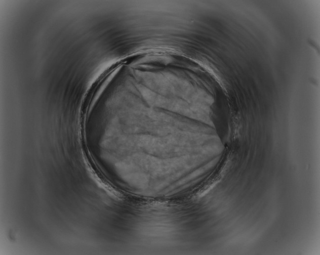 X0000091911038200710031015