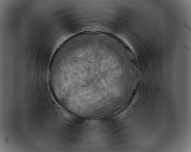 X0000091911040200710031015